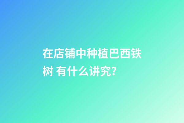 在店铺中种植巴西铁树 有什么讲究？